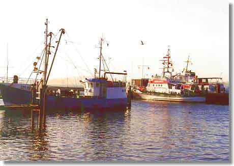 Maasholm - Hafen