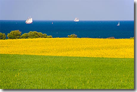 Ein Ostsee-Traum in grün-gelb-blau