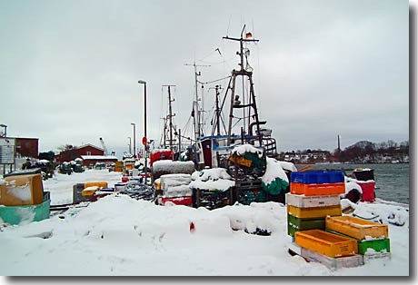 Der Kappelner Fischereihafen im Winter