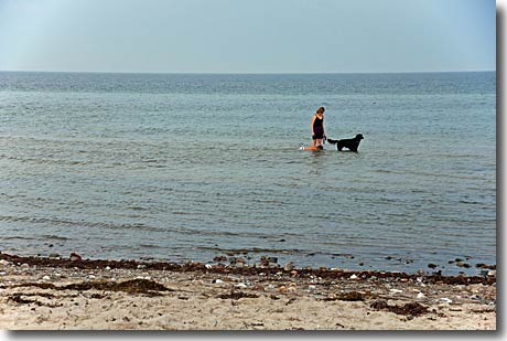 Hundestrand an der Ostsee