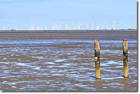 Nordsee-Ebbe bei Husum: Watt & Windpark Nordsee-Ebbe bei Husum: Watt & Windpark