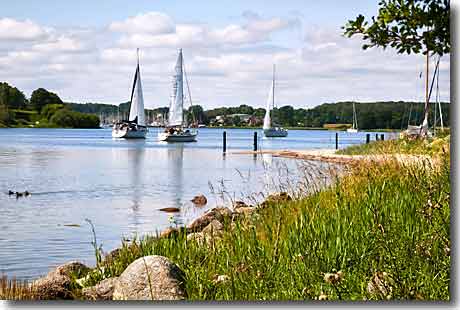 Segeln auf der Schlei in Rabelsund Segelboote auf der Schlei am Ufer von Rabelsund mit Blick auf Grauhöft